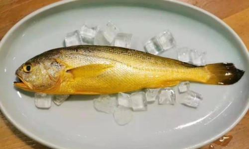 中医饮食营养学发展史论文-中医饮食营养学发展史网 :分享中医营养学饮食养身-中医饮食营养学发展史论文知识
